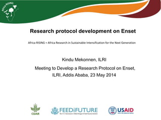 Research protocol development on Enset
Kindu Mekonnen, ILRI
Meeting to Develop a Research Protocol on Enset,
ILRI, Addis Ababa, 23 May 2014
Africa RISING = Africa Research in Sustainable Intensification for the Next Generation
 