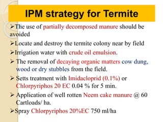 The use of partially decomposed manure should be
avoided
Locate and destroy the termite colony near by field
Irrigation water with crude oil emulsion.
 The removal of decaying organic matters cow dung,
wood or dry stubbles from the field.
 Setts treatment with Imidacloprid (0.1%) or
Chlorpyriphos 20 EC 0.04 % for 5 min.
 Application of well rotten Neem cake manure @ 60
Cartloads/ ha.
Spray Chlorpyriphos 20%EC 750 ml/ha
IPM strategy for Termite
 