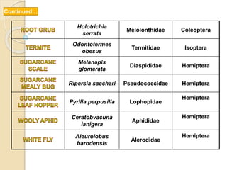 Holotrichia
serrata
Melolonthidae Coleoptera
Odontotermes
obesus
Termitidae Isoptera
Melanapis
glomerata
Diaspididae Hemiptera
Ripersia sacchari Pseudococcidae Hemiptera
Pyrilla perpusilla Lophopidae
Hemiptera
Ceratobvacuna
lanigera
Aphididae
Hemiptera
Aleurolobus
barodensis
Alerodidae
Hemiptera
Continued…
 