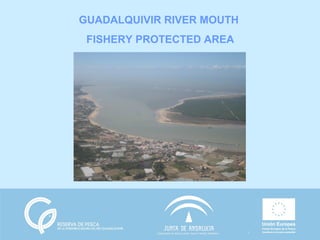 GUADALQUIVIR RIVER MOUTH
 FISHERY PROTECTED AREA
 