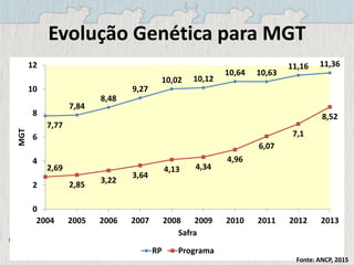 Evolução Genética para MGT
7,77
7,84
8,48
9,27
10,02 10,12
10,64 10,63
11,16 11,36
2,69
2,85
3,22
3,64
4,13 4,34
4,96
6,07
7,1
8,52
0
2
4
6
8
10
12
2004 2005 2006 2007 2008 2009 2010 2011 2012 2013
MGT
Safra
RP Programa
Fonte: ANCP, 2015
 