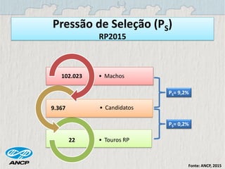 • Touros RP22
• Candidatos9.367
Pressão de Seleção (PS)
RP2015
PS= 9,2%
PS= 0,2%
• Machos102.023
Fonte: ANCP, 2015
 