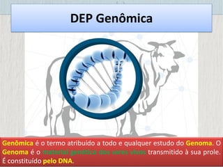 DEP Genômica
Genômica é o termo atribuído a todo e qualquer estudo do Genoma. O
Genoma é o material genético dos seres vivos transmitido à sua prole.
É constituído pelo DNA.
 