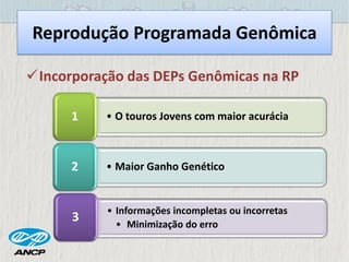 • O touros Jovens com maior acurácia1
• Maior Ganho Genético2
• Informações incompletas ou incorretas
• Minimização do erro
3
Reprodução Programada Genômica
Incorporação das DEPs Genômicas na RP
 