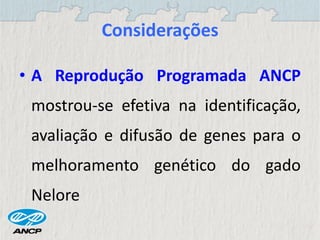 Considerações
• A Reprodução Programada ANCP
mostrou-se efetiva na identificação,
avaliação e difusão de genes para o
melhoramento genético do gado
Nelore
 