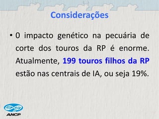 Considerações
• 0 impacto genético na pecuária de
corte dos touros da RP é enorme.
Atualmente, 199 touros filhos da RP
estão nas centrais de IA, ou seja 19%.
 