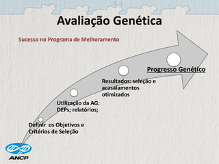 Avaliação Genética
Definir os Objetivos e
Critérios de Seleção
Utilização da AG:
DEPs; relatórios;
Resultados: seleção e
acasalamentos
otimizados
Progresso Genético
Sucesso no Programa de Melhoramento
 