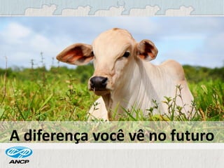 A diferença você vê no futuro
 