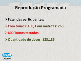 Reprodução Programada
Fazendas participantes:
Com touros: 160, Com matrizes: 266
600 Touros testados
Quantidade de doses: 123.186
 