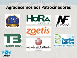 Agradecemos aos Patrocinadores
 