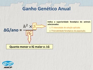 Ganho Genético Anual
 