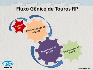 Fluxo Gênico de Touros RP
Fonte: ANCP, 2015
 