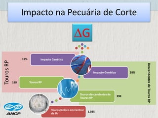Impacto Genético
Touros RP
Impacto na Pecuária de Corte
Touros Nelore em Central
de IA
1.035
Touros descendentes de
Touros RP
390
Impacto Genético 38%
G
199
19%
TourosRP
DescendentesdeTourosRP
 
