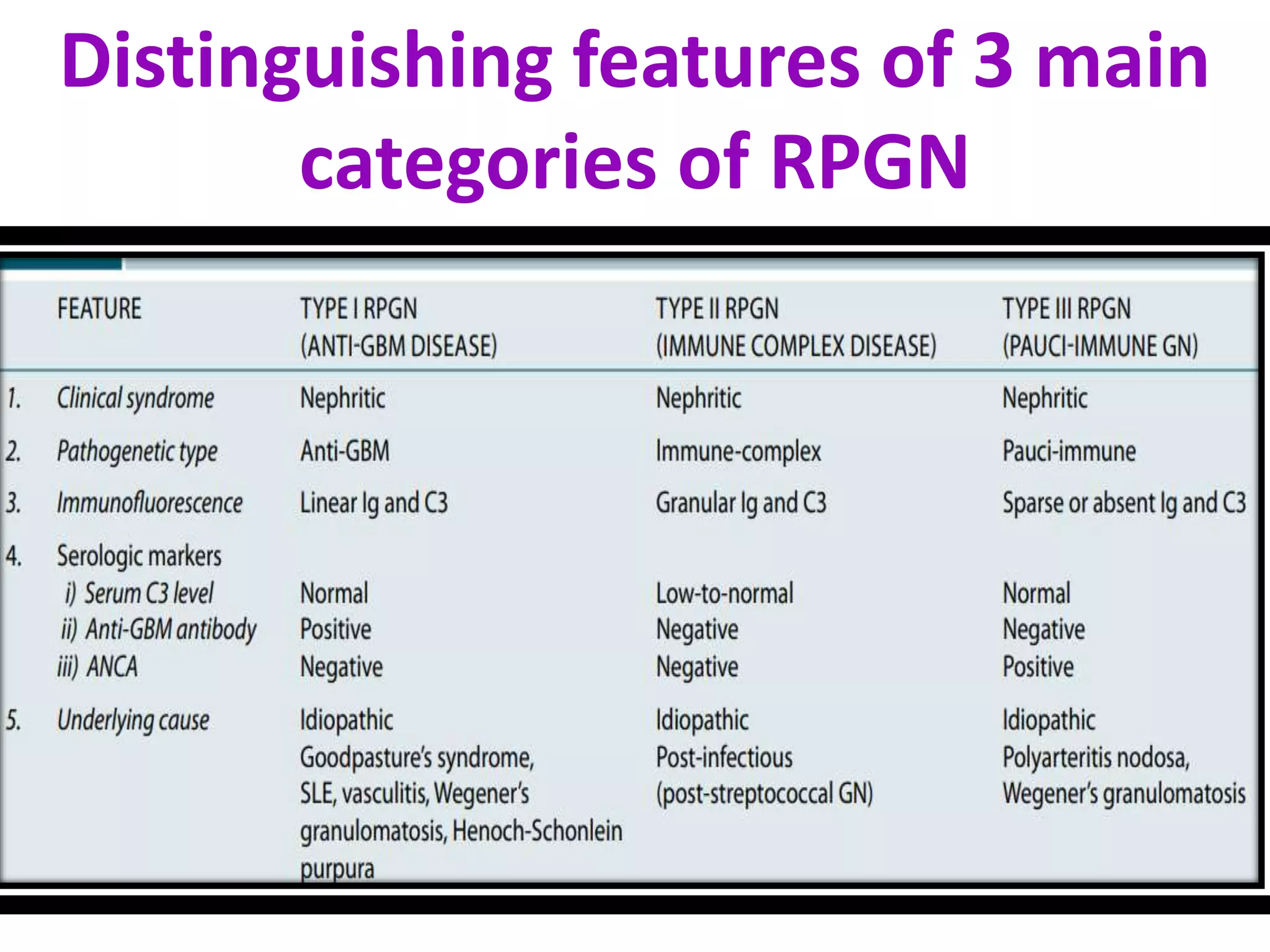 Rpgn Patterns The KIDNEY: Rapidly Progressive Glomerulonephritis | PPTX