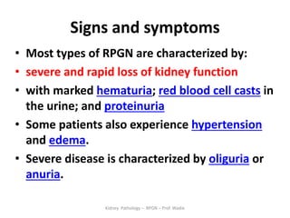 Rpgn Patterns Rpgn renal pathology- prof wadie | PDF