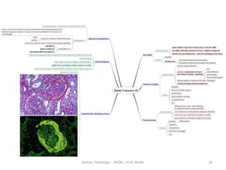 Rpgn Patterns Rpgn renal pathology- prof wadie | PDF