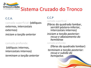 Sistema Cruzado do Tronco
C.C.A.                          C.C.P
                                camada superficial:
camada superficial: (oblíquos
                                (fibras do quadrado lombar,
externos, intercostais              serrátil póstero-inferior,
externos)                           intercostais internos)
iniciam a torção anterior       iniciam a torção posterior:
                                    recuo e abaixamento do
                                    hemitórax
camada profunda:                camada profunda:
 (oblíquos internos,              (fibras do quadrado lombar)
intercostais internos)          terminam a torção posterior:
                                  recuo e subida da
terminam a torção anterior        hemipelve.
 