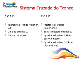 Sistema Cruzado do Tronco
C.C.A.E.                          C.C.P.D.

 Intercostais (região Anterior    Intercostais (região
  D.)                               Posterior E.)
 Oblíquo Externo D.               Serrátil Póstero-inferior E.
 Oblíquo Interno E.               Quadrado lombar E. Fibras
                                    costo-lombares
                                   Quadrado lombar D. Fibras
                                    ilio-lombares
 