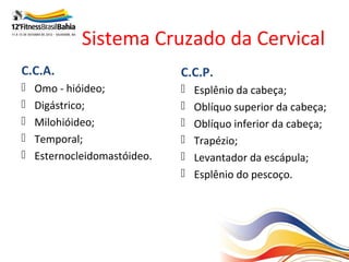 Sistema Cruzado da Cervical
C.C.A.                        C.C.P.
   Omo - hióideo;               Esplênio da cabeça;
   Digástrico;                  Oblíquo superior da cabeça;
   Milohióideo;                 Oblíquo inferior da cabeça;
   Temporal;                    Trapézio;
   Esternocleidomastóideo.      Levantador da escápula;
                                 Esplênio do pescoço.
 