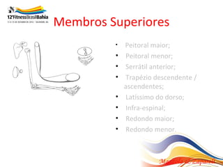 Membros Superiores
         •   Peitoral maior;
         •   Peitoral menor;
         •   Serrátil anterior;
         •   Trapézio descendente /
             ascendentes;
         •   Latíssimo do dorso;
         •   Infra-espinal;
         •   Redondo maior;
         •   Redondo menor.



                       Mazzola & Zaparoli
 