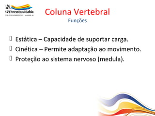 Coluna Vertebral
                   Funções


 Estática – Capacidade de suportar carga.
 Cinética – Permite adaptação ao movimento.
 Proteção ao sistema nervoso (medula).
 