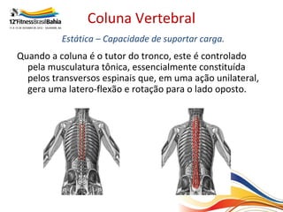 Coluna Vertebral
          Estática – Capacidade de suportar carga.
Quando a coluna é o tutor do tronco, este é controlado
  pela musculatura tônica, essencialmente constituída
  pelos transversos espinais que, em uma ação unilateral,
  gera uma latero-flexão e rotação para o lado oposto.
 