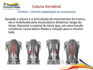 Coluna Vertebral
         Cinética – Permite adaptação ao movimento.

Quando a coluna é a articulação de movimentos do tronco,
  ela é mobilizada pela musculatura dinâmica: longo do
  tórax, iliocostal e espinal do tórax que, em uma função
  unilateral, causa latero-flexão e rotação para o mesmo
  lado.




  Longo do      Iliocostal do   Iliocostal   Espinal do
    Tórax           Tórax        Lombar        Tórax
 