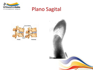Plano Sagital
 