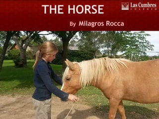 Millie's presentation on Horses :)