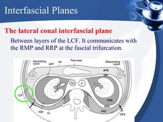 Proctocyle Retroperitoneal Collections | PPT