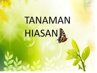 TANAMAN
HIASAN
 