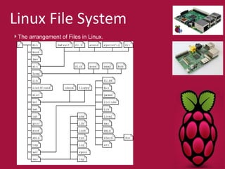 Linux File System 
The arrangement of Files in Linux. 
 