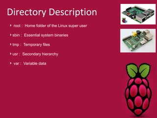 Directory Description 
root : Home folder of the Linux super user 
sbin : Essential system binaries 
tmp : Temporary files 
usr : Secondary hierarchy 
var : Variable data 
 