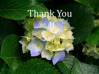 Thank You
   ..!!
 