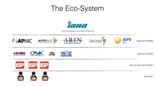 The Eco-System
National IR (NIR)
Internet Service Provider
End User
Regional IR (RIR)
 