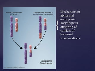 {
Mechanism of
abnormal
embryonic
karyotype in
offspring of
carriers of
balanced
translocations
 