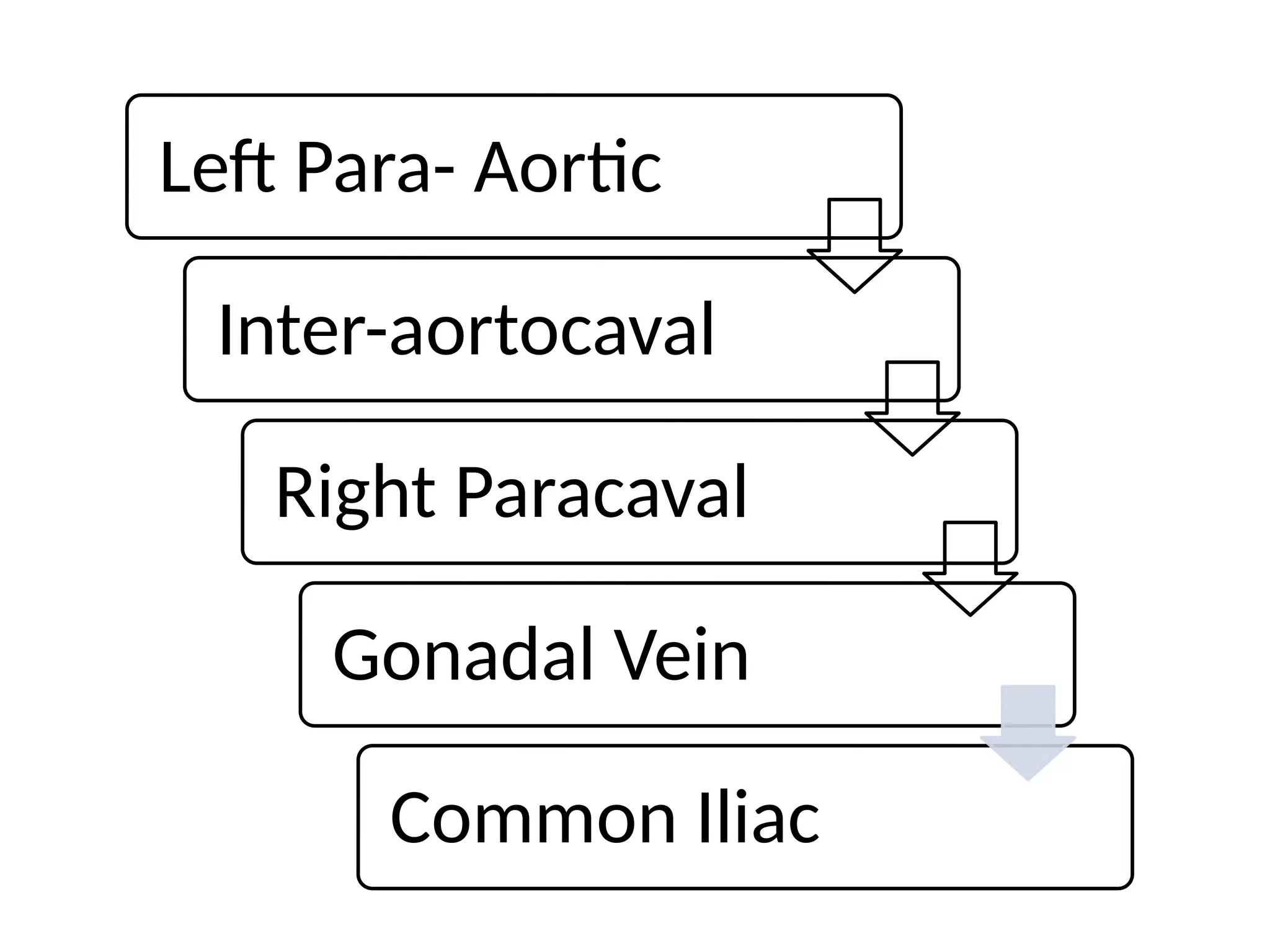 Left Para- Aortic
Inter-aortocaval
Right Paracaval
Gonadal Vein
Common Iliac
 