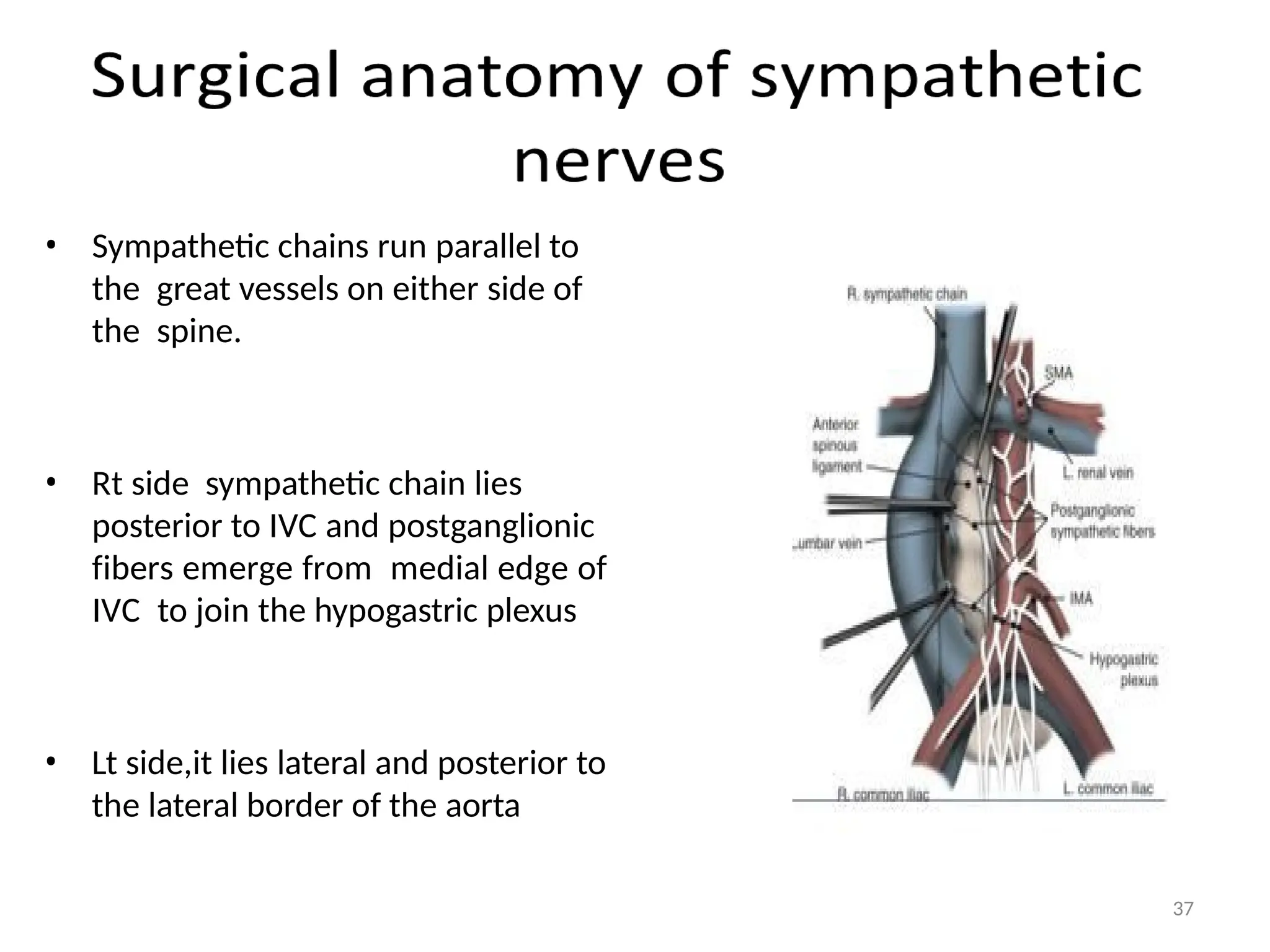 • Sympathetic chains run parallel to
the great vessels on either side of
the spine.
• Rt side sympathetic chain lies
posterior to IVC and postganglionic
fibers emerge from medial edge of
IVC to join the hypogastric plexus
• Lt side,it lies lateral and posterior to
the lateral border of the aorta
37
 