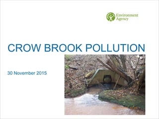 CROW BROOK POLLUTION
30 November 2015
 