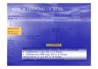 RPM A TÉRMINO : > 37SS.
RPM :12 horas
ANTIBIOTICOTERAPIA
PELVIMETRIA : N
BISHOP (+)
INDUCION 12 – 14 HS
FALLIDA
AMPICILINA 2gr EV c/6 hs
Gentamicina 160 mg IM
Eritromicina 500 mg VO
PELVIMETRÍA: N
FETAL : N
INDUCCION
Dentro 12 a
14 hs sgtes
CESAREA
ANTIBIOTERAPIA POR 7 DÍAS: RPM > 6 HORAS
• Cefalotina ( 1gr) EV. c / 6 horas
• Cefalexina (500 mg) VO c / 6 horas
•Ampicilina (1 gr) EV c / 8 horas.
ALERGIA: Clindamicina o eritromicina.
INDUCCION
FALLIDA
PARTO
24 hs
 