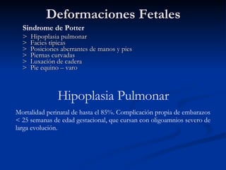 Deformaciones Fetales >  Hipoplasia pulmonar >  Facies típicas >  Posiciones aberrantes de manos y pies >  Piernas curvadas >  Luxación de cadera >  Pie equino – varo Hipoplasia Pulmonar Sindrome de Potter Mortalidad perinatal de hasta el 85%. Complicación propia de embarazos  < 25 semanas de edad gestacional, que cursan con oligoamnios severo de larga evolución.  