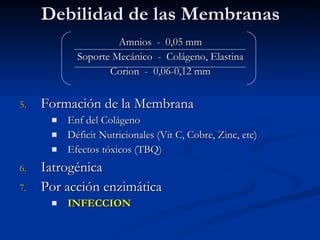 Debilidad de las Membranas Amnios  -  0,05 mm Soporte Mecánico  -  Colágeno, Elastina Corion  -  0,06-0,12 mm Formación de la Membrana Enf del Colágeno Déficit Nutricionales (Vit C, Cobre, Zinc, etc) Efectos tóxicos (TBQ) Iatrogénica Por acción enzimática INFECCION 