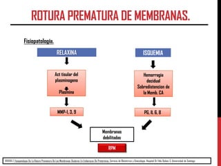 ROTURA PREMATURA DE MEMBRANAS.
RIVERA Z. Fisiopatología De La Rotura Prematura De Las Membranas Ovulares En Embarazos De P...
