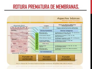 ROTURA PREMATURA DE MEMBRANAS.
 