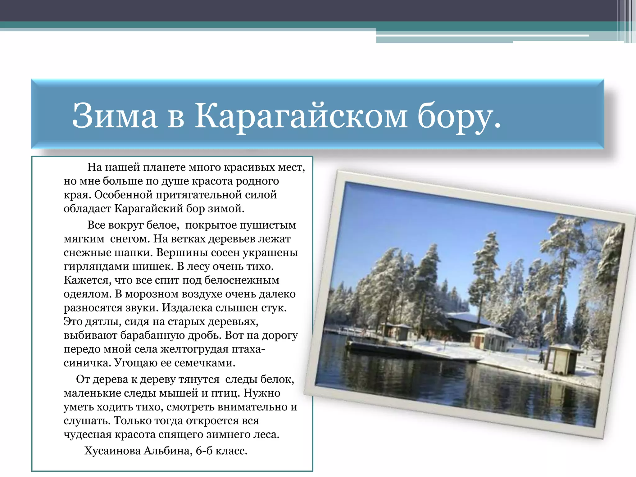 Зима в Карагайском бору.
    На нашей планете много красивых мест,
но мне больше по душе красота родного
края. Особенной притягательной силой
обладает Карагайский бор зимой.
    Все вокруг белое, покрытое пушистым
мягким снегом. На ветках деревьев лежат
снежные шапки. Вершины сосен украшены
гирляндами шишек. В лесу очень тихо.
Кажется, что все спит под белоснежным
одеялом. В морозном воздухе очень далеко
разносятся звуки. Издалека слышен стук.
Это дятлы, сидя на старых деревьях,
выбивают барабанную дробь. Вот на дорогу
передо мной села желтогрудая птаха-
синичка. Угощаю ее семечками.
  От дерева к дереву тянутся следы белок,
маленькие следы мышей и птиц. Нужно
уметь ходить тихо, смотреть внимательно и
слушать. Только тогда откроется вся
чудесная красота спящего зимнего леса.
    Хусаинова Альбина, 6-б класс.
 