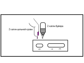 Seat Testing R Point экспресс тестR point | PPT