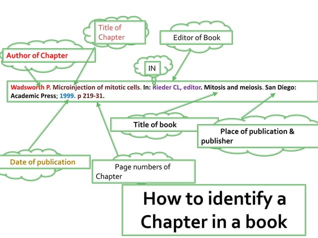 what makes a good essay writing service company?