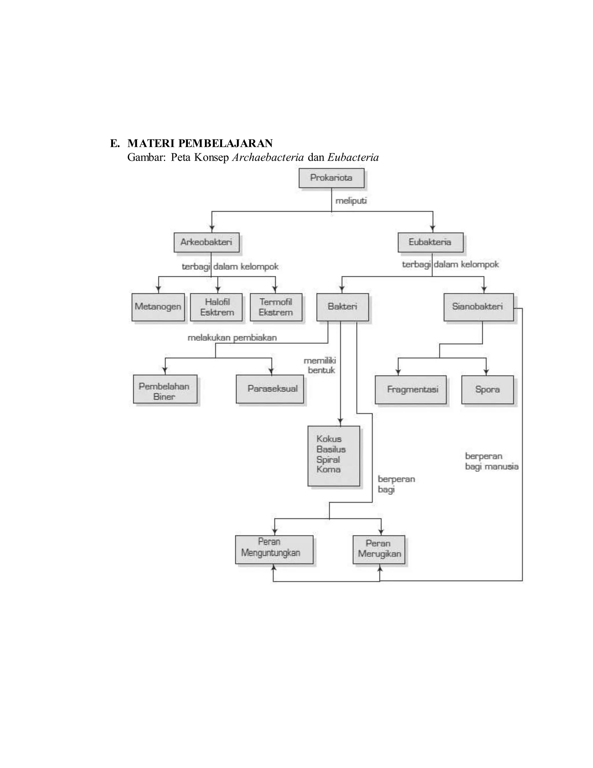 E. MATERI PEMBELAJARAN
Gambar: Peta Konsep Archaebacteria dan Eubacteria
 