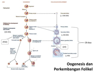 (+ 1.000.000)




  (13-45)
                (+ 300.000)



(FSH)                           28 days

                  (LH)



                      (+ 400)




                  Oogenesis dan
            Perkembangan Folikel
 