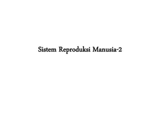 Sistem Reproduksi Manusia-2
 